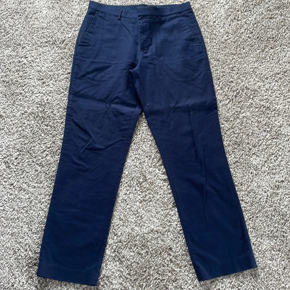 Express dress pant